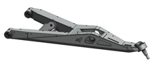 Bras inférieurs Polaris Pro R CT Race Worx